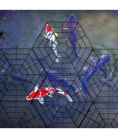 Gardigo Teichschutz 11 Gardigo Teichschutz -Haus Pflanzen Welt 4315362 WE MO 003 GardigoTeichschutz