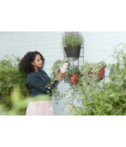 Elho Metall-Wandgitter Für Töpfe Loft Urban Green Wall Gestell, Ca. B47,3/H59/T1,5 Cm, Schwarz 24 Elho Metall-Wandgitter Für Töpfe Loft Urban Green Wall Gestell, Ca. B47,3/H59/T1,5 Cm, Schwarz -Haus Pflanzen Welt 4315917 WE MO 003 elhoMetallWandgitterfuerToepfeBlumentopfurbangardening