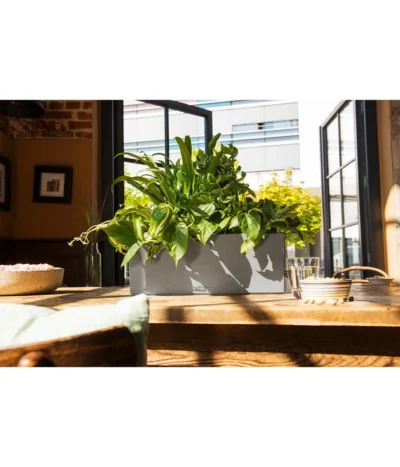 LECHUZA® Kunststoff-Kasten Balconera Stone -Haus Pflanzen Welt 4318606 WE MO 001 LechuzaKunststoffBalkonkastenBalconeraStonePflanzkastenBlumenkasten