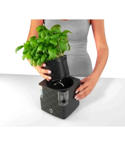 Dehner Kunststoff-Topf Mona, Eckig, Ca. B14/H14/T14 Cm -Haus Pflanzen Welt 4320743 PR FS 002 KunststoffTopfMonaGrau