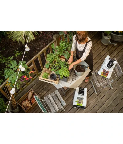 LECHUZA® VEGGIEPON Gemüsepflanzsubstrat 8 LECHUZA® VEGGIEPON Gemüsepflanzsubstrat -Haus Pflanzen Welt 4365029 WE MO 001 LechuzaVeggiepon