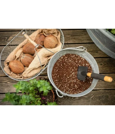 LECHUZA® VEGGIEPON Gemüsepflanzsubstrat 11 LECHUZA® VEGGIEPON Gemüsepflanzsubstrat -Haus Pflanzen Welt 4365029 WE MO 004 LechuzaVeggiepon