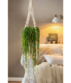 Dehner Makramee-Ampel -Haus Pflanzen Welt 4409132 PR MO 003 AmpelnFreshMakramee