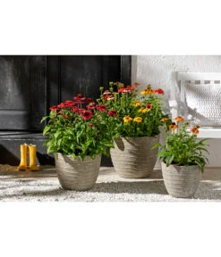 Dehner Leichtbeton-Topf Prunus, Graubraun 9 Dehner Leichtbeton-Topf Prunus, Graubraun -Haus Pflanzen Welt 4440772 WE MO 001 DehnerLeichtbetonTopfPrunus