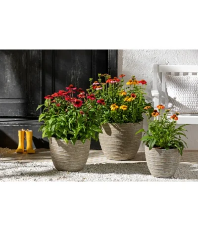 Dehner Leichtbeton-Topf Prunus, Graubraun -Haus Pflanzen Welt 4440772 WE MO 001 DehnerLeichtbetonTopfPrunus