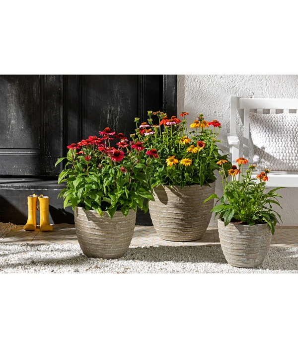 Dehner Leichtbeton-Topf Prunus, Graubraun 5 Dehner Leichtbeton-Topf Prunus, Graubraun – Bild 3