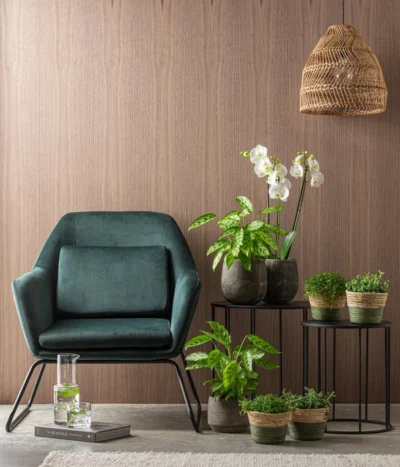 Dehner Seegras-Korb Phil, Rund -Haus Pflanzen Welt 4448270 WE MO 001 TopfEliasCremeKorbGruen 6735229 6914725