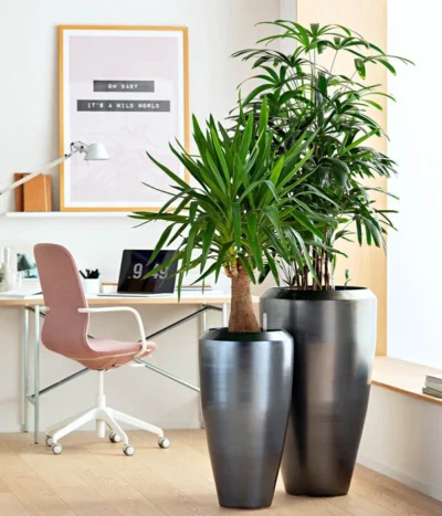 Dehner Keramik-Vase Lissabon Mit LECHUZA® Bewässerungssystem, Konisch 11 Dehner Keramik-Vase Lissabon Mit LECHUZA® Bewässerungssystem, Konisch -Haus Pflanzen Welt 4448833 WE MO 001 KeramikVaseLissabon