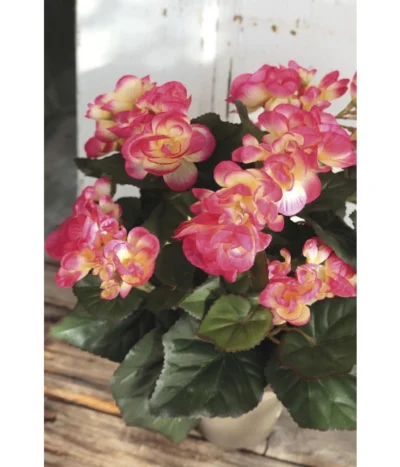 Kunstpflanze Begonie -Haus Pflanzen Welt 4461117 WE MO 001 Begonie30cmPink