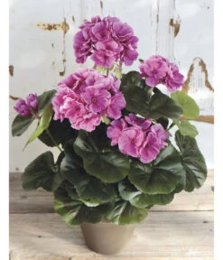 Kunstpflanze Geranie -Haus Pflanzen Welt 4463345 WE MO 001 Geranie33cmLila