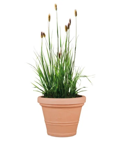 Scheurich Kunststoff-Topf Claudia, Rund -Haus Pflanzen Welt 4470142 WE FS 002 ScheurichTopfClaudia