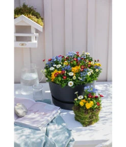 Elho Kunststoff-Schale Greenville, Ca. Ø33/H19,5 Cm -Haus Pflanzen Welt 4474292 WE MO 002 elhoKunststoffSchaleGreenville