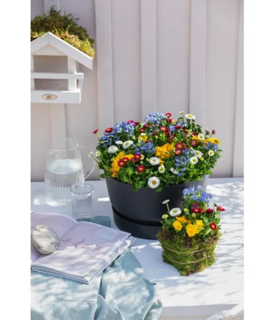 Elho Kunststoff-Schale Greenville, Ca. Ø33/H19,5 Cm -Haus Pflanzen Welt 4474292 WE MO 002 elhoKunststoffSchaleGreenville