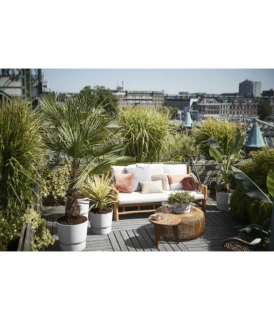 Elho Kunststoff-Topf Greenville -Haus Pflanzen Welt 4474318 4474342 WE MO 001 elhoKunststoffTopfGreenville