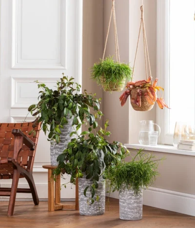 Dehner Keramik-Vase Toni, Rund, Grau -Haus Pflanzen Welt 4484705 WE MO 001 AmpelvaseToni 4484713 6759393