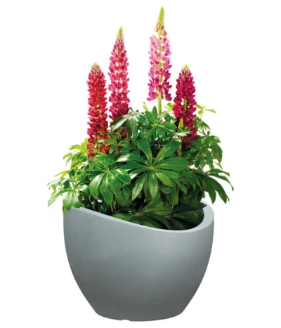 Scheurich Kunststoff-Topf Wave Globe, Rund, Ca. Ø60/H44,7 Cm -Haus Pflanzen Welt 4497707 WE FS 003 ScheurichKunststoffTopfWaveGloberund