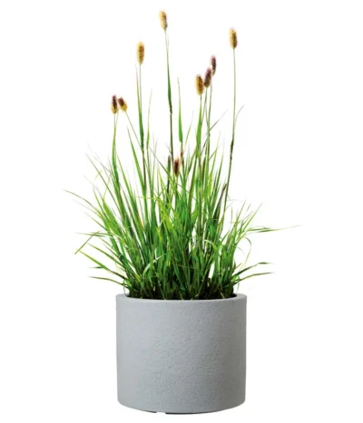 Scheurich Kunststoff-Topf Riva, Rund 13 Scheurich Kunststoff-Topf Riva, Rund -Haus Pflanzen Welt 4498838 WE FS 003 ScheurichKunststoffTopfRivarund