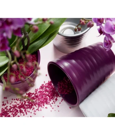 Dehner Keramik-Übertopf Wave, Konisch 7 Dehner Keramik-Übertopf Wave, Konisch -Haus Pflanzen Welt 5014188 PR MO 001 OrchideenUebertopfWavePflaume