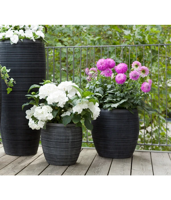 Dehner Polystone-Topf Singapur, Rund, Anthrazit 4 Dehner Polystone-Topf Singapur, Rund, Anthrazit – Bild 2