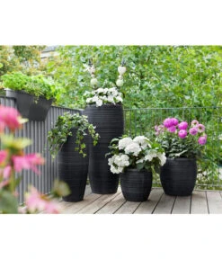 Dehner Polystone-Topf Singapur, Rund, Anthrazit 9 Dehner Polystone-Topf Singapur, Rund, Anthrazit -Haus Pflanzen Welt 5147558 WE MO 001 DehnerPolystoneTopfrundanthrazit