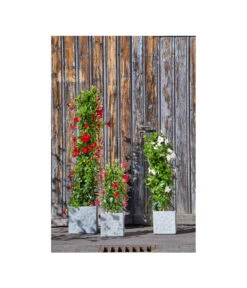 Dehner Leichtbeton-Topf Rock, Quadratisch, Grau 10 Dehner Leichtbeton-Topf Rock, Quadratisch, Grau -Haus Pflanzen Welt 5157524 5157532 5157540 5157557 WE MO 001 DehnerLeichtbetonTopfRockPflanzkuebelBlumentopf