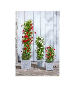 Dehner Leichtbeton-Topf Rock, Quadratisch, Grau 11 Dehner Leichtbeton-Topf Rock, Quadratisch, Grau -Haus Pflanzen Welt 5157524 5157532 5157540 5157557 WE MO 002 DehnerLeichtbetonTopfRockPflanzkuebelBlumentopf