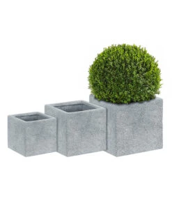 Dehner Leichtbeton-Topf Rock, Quadratisch, Grau 14 Dehner Leichtbeton-Topf Rock, Quadratisch, Grau -Haus Pflanzen Welt 5157524 5157532 5157540 WE MO 002 DehnerLeichtbetonTopf