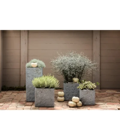 Dehner Leichtbeton-Topf Rock, Quadratisch, Grau -Haus Pflanzen Welt 5157524 WE MO 004 LeichtbetonTopfquadratischrock