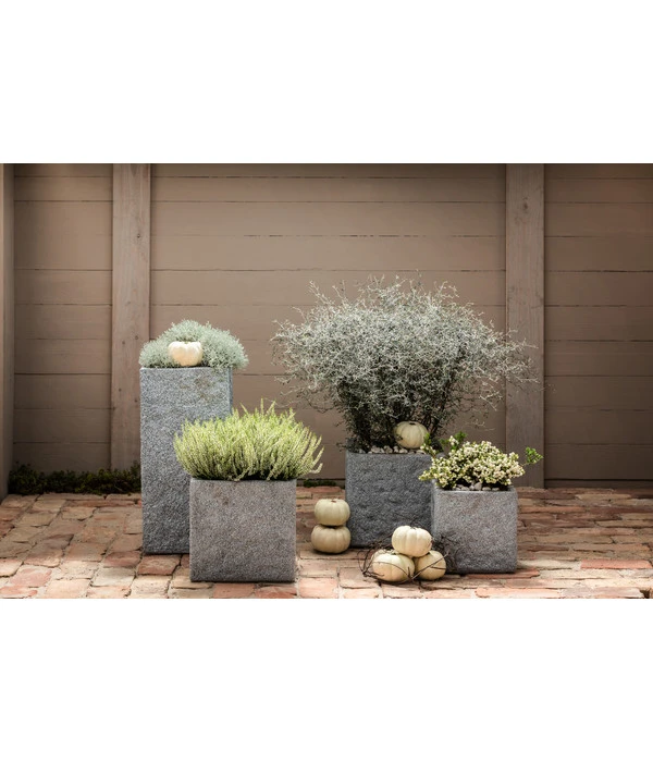 Dehner Leichtbeton-Topf Rock, Quadratisch, Grau 7 Dehner Leichtbeton-Topf Rock, Quadratisch, Grau – Bild 5