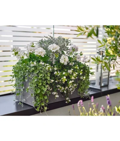 Dehner Leichtbeton-Kasten Rock, Rechteckig, Grau 7 Dehner Leichtbeton-Kasten Rock, Rechteckig, Grau -Haus Pflanzen Welt 5157607 5157615 WE MO 001 DehnerLeichtbetonKastenrockgrau