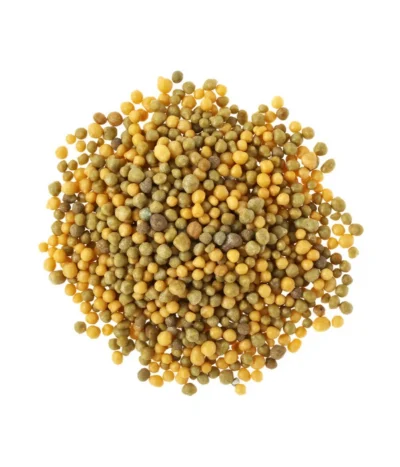 Substral® Osmocote® Langzeit Depotdünger Balkonblumen -Haus Pflanzen Welt 5170105 BildD 001 SubstralOsmocoteBalkonblumenDuengerBalkonblDuengerOsmocote