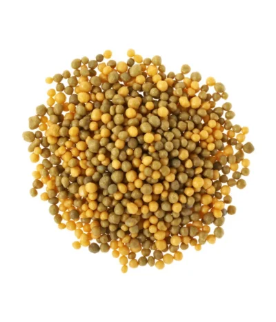 Substral® Osmocote® Buchs & Hecken Dünger, 1,5 Kg -Haus Pflanzen Welt 5170147 BildD 001 SubstralOsmocoteDuengerBuchsUndHeckenBuchsHeckenduengerOsmoc