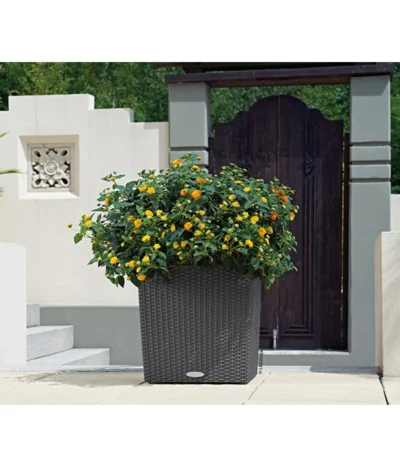 LECHUZA® Kunststoff-Topf Cube Cottage, Quadratisch -Haus Pflanzen Welt 5181169 WE MO 005 LechuzaKunststoffTopfCubeCottage