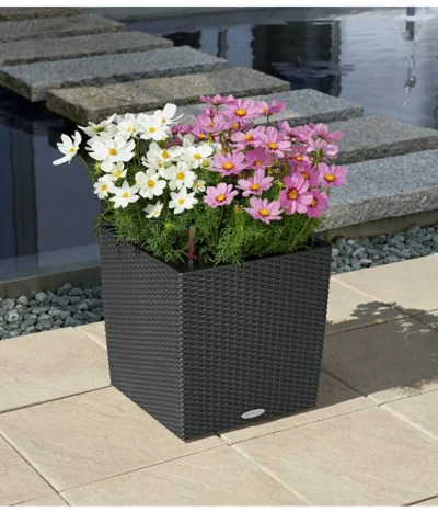 Schmuckkörbchen, Verschiedene Farben -Haus Pflanzen Welt 5181185 8811192 WE MO 001 CosmosCubeCottageGranit50x50x49cm