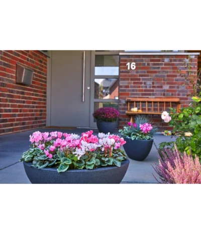 Dehner Kunststoff-Schale Miami, Oval, Anthrazit, Ca. B52/H20/T23 Cm -Haus Pflanzen Welt 5181409 WE MO 001 KunststoffSchiffchenAnthrazit