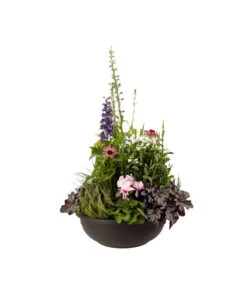 Vasar Kunststoff-Schale Aurora, Rund, Terrakotta -Haus Pflanzen Welt 5187752 BildFS 001 KunststoffschaleAuroraBraunBepflanztHerbstGross