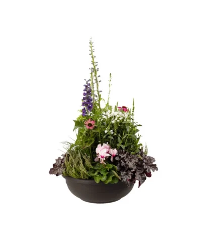 Vasar Kunststoff-Schale Aurora, Rund, Terrakotta 7 Vasar Kunststoff-Schale Aurora, Rund, Terrakotta -Haus Pflanzen Welt 5187752 BildFS 001 KunststoffschaleAuroraBraunBepflanztHerbstGross