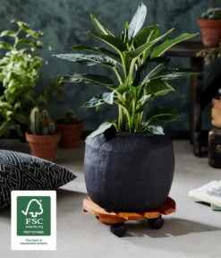 Wagner Pflanzroller Country, Ø 30 Cm 17 Wagner Pflanzroller Country, Ø 30 Cm -Haus Pflanzen Welt 5230057 WE MO 002 MULTIROLLERCOUNTRY