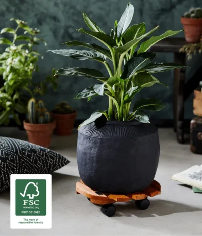 Wagner Pflanzroller Country, Ø 30 Cm -Haus Pflanzen Welt 5230057 WE MO 002 MULTIROLLERCOUNTRY