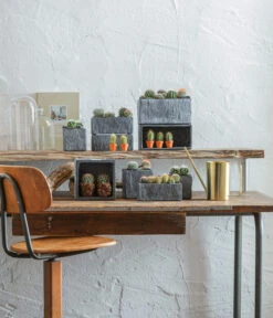 Dehner Zement-Jardiniere Slate, Rechteckig, Grau 11 Dehner Zement-Jardiniere Slate, Rechteckig, Grau -Haus Pflanzen Welt 5338900 WE MO 001 SerieSlateGrau 5338918 5056221 5056155 384281