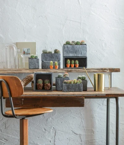 Dehner Zement-Jardiniere Slate, Rechteckig, Grau 11 Dehner Zement-Jardiniere Slate, Rechteckig, Grau -Haus Pflanzen Welt 5338900 WE MO 001 SerieSlateGrau 5338918 5056221 5056155 384281