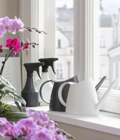 Sprüher, 0,5 L -Haus Pflanzen Welt 5357959 WE MO 001 GiesserAnthrazit