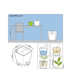 LECHUZA® QUADRO LS, All-in-One-Set -Haus Pflanzen Welt 5390174 3175270 5473541 5390182 5390190 5390166 WE DE 001 QuadroPremium21