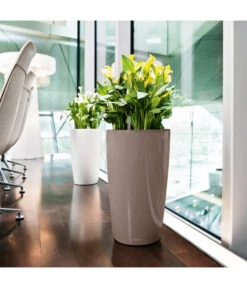 LECHUZA® RONDO, All-in-One-Set -Haus Pflanzen Welt 5473616 BildFS 003 Rondo32TaupeLechuza