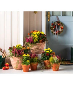 Vasar Kunststoff-Topf Murano 7 Vasar Kunststoff-Topf Murano -Haus Pflanzen Welt 6138028 WE MO 001 KranzApfel Herbst