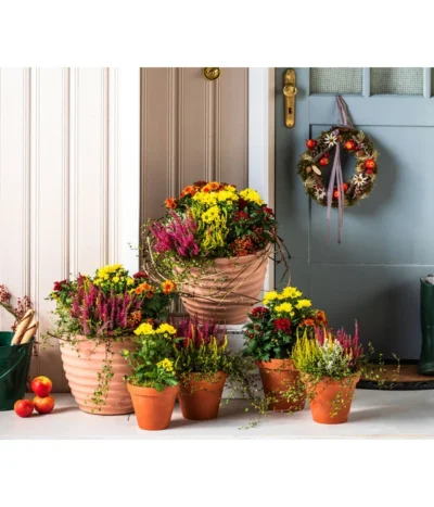 Vasar Kunststoff-Topf Murano -Haus Pflanzen Welt 6138028 WE MO 001 KranzApfel Herbst