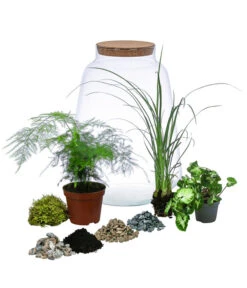 Flaschengarten DIY-Set Grüne Oase, 8-teilig, Ca. Ø26/H35 Cm -Haus Pflanzen Welt 6171300 WE FS 001 FlaschengartenGross