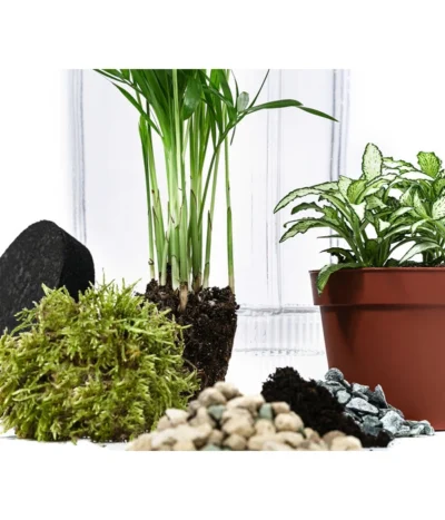 Flaschengarten DIY-Set Kleiner Regenwald, 7-teilig, Ca. Ø16/H27 Cm -Haus Pflanzen Welt 6188460 WE DE 001 FlaschengartenMittel