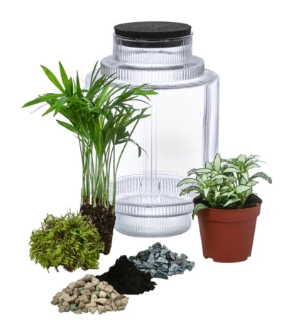 Flaschengarten DIY-Set Kleiner Regenwald, 7-teilig, Ca. Ø16/H27 Cm -Haus Pflanzen Welt 6188460 WE FS 001 FlaschengartenMittel
