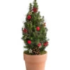 Geschmückter Weihnachtsbaum Terra 2 Geschmückter Weihnachtsbaum Terra -Haus Pflanzen Welt 6201982 WE FS 001 WeihnachtsbaeumchenTerra15cm